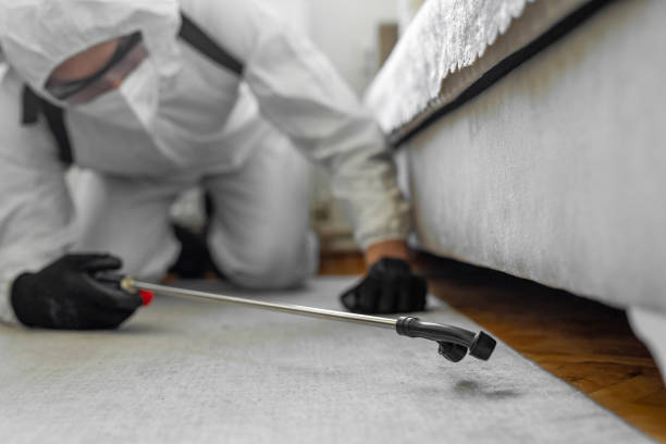Professional Termite Control technician working in Forestville, CA