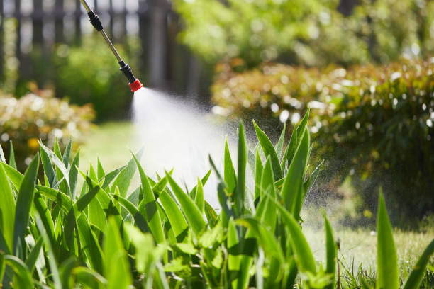 24/7 Emergency Termite Control experts in Forestville, CA