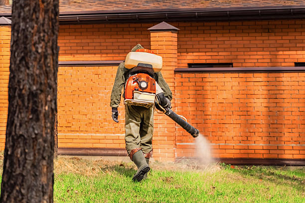 Top rated local Termite Control specialists in Forestville, CA
